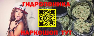 стафф Чебоксары