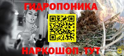 стафф Чебоксары